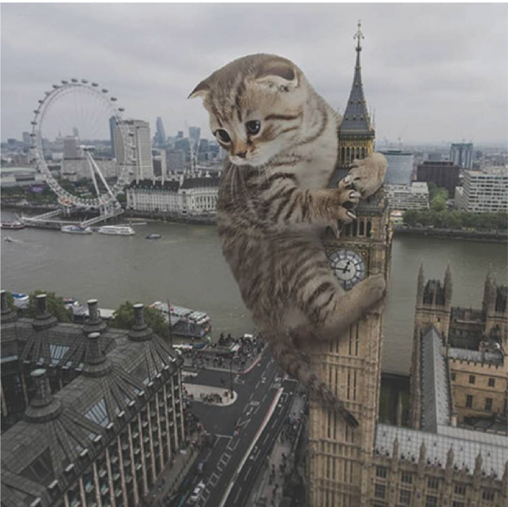 Cat on Big Ben