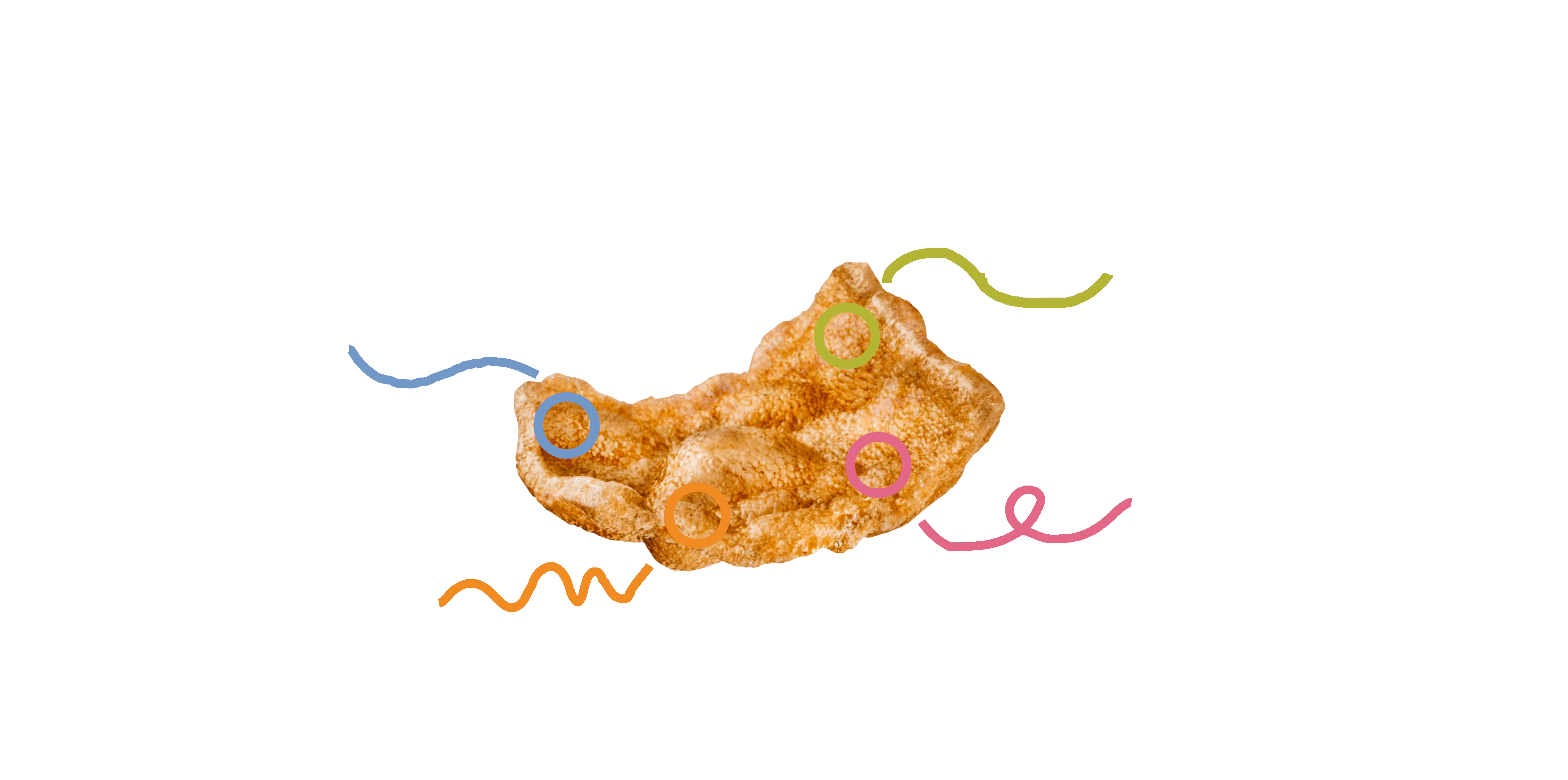 snacklin chip