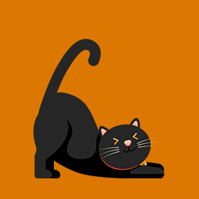 cute cat doing silly poses