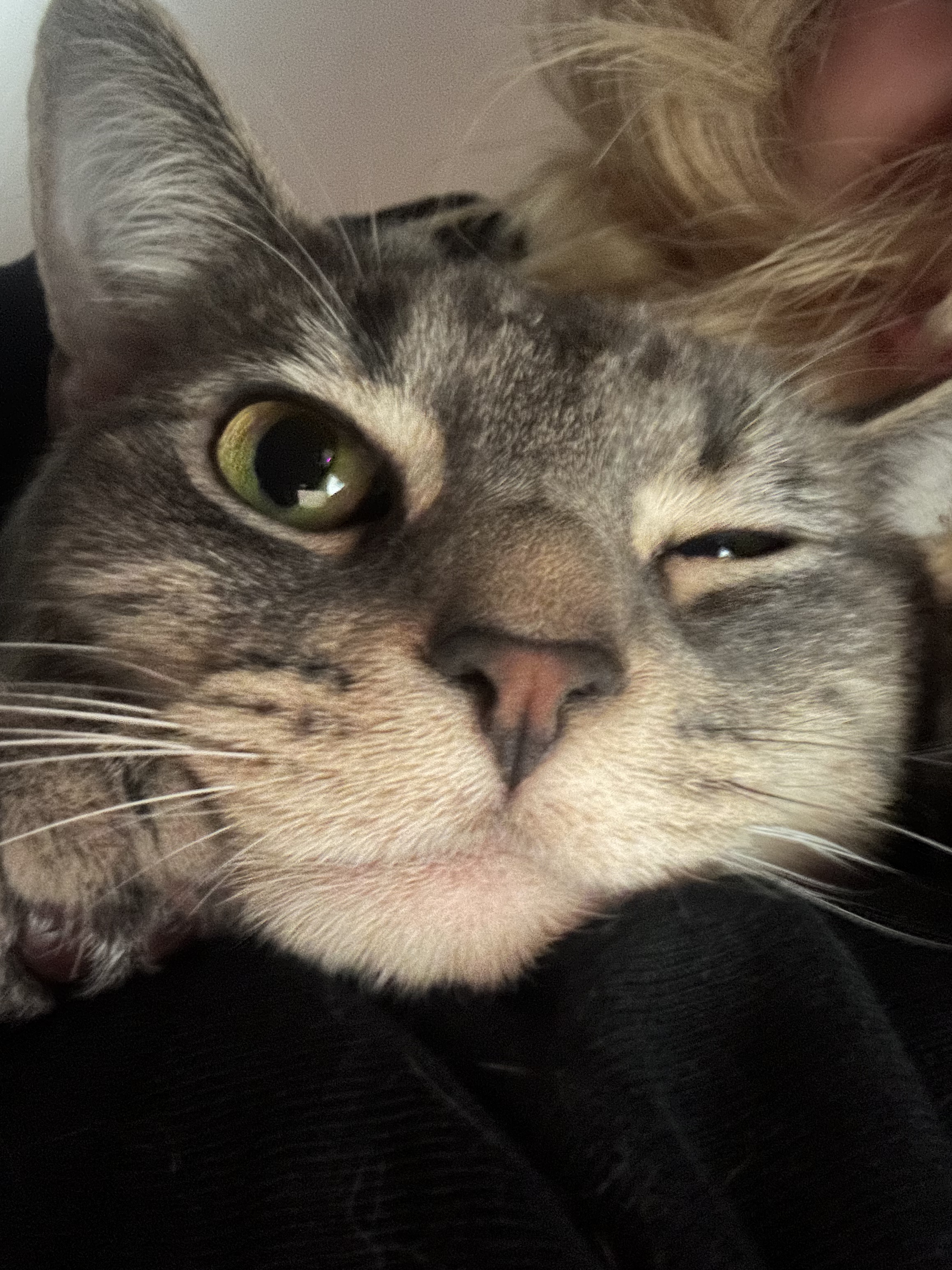 sylvie