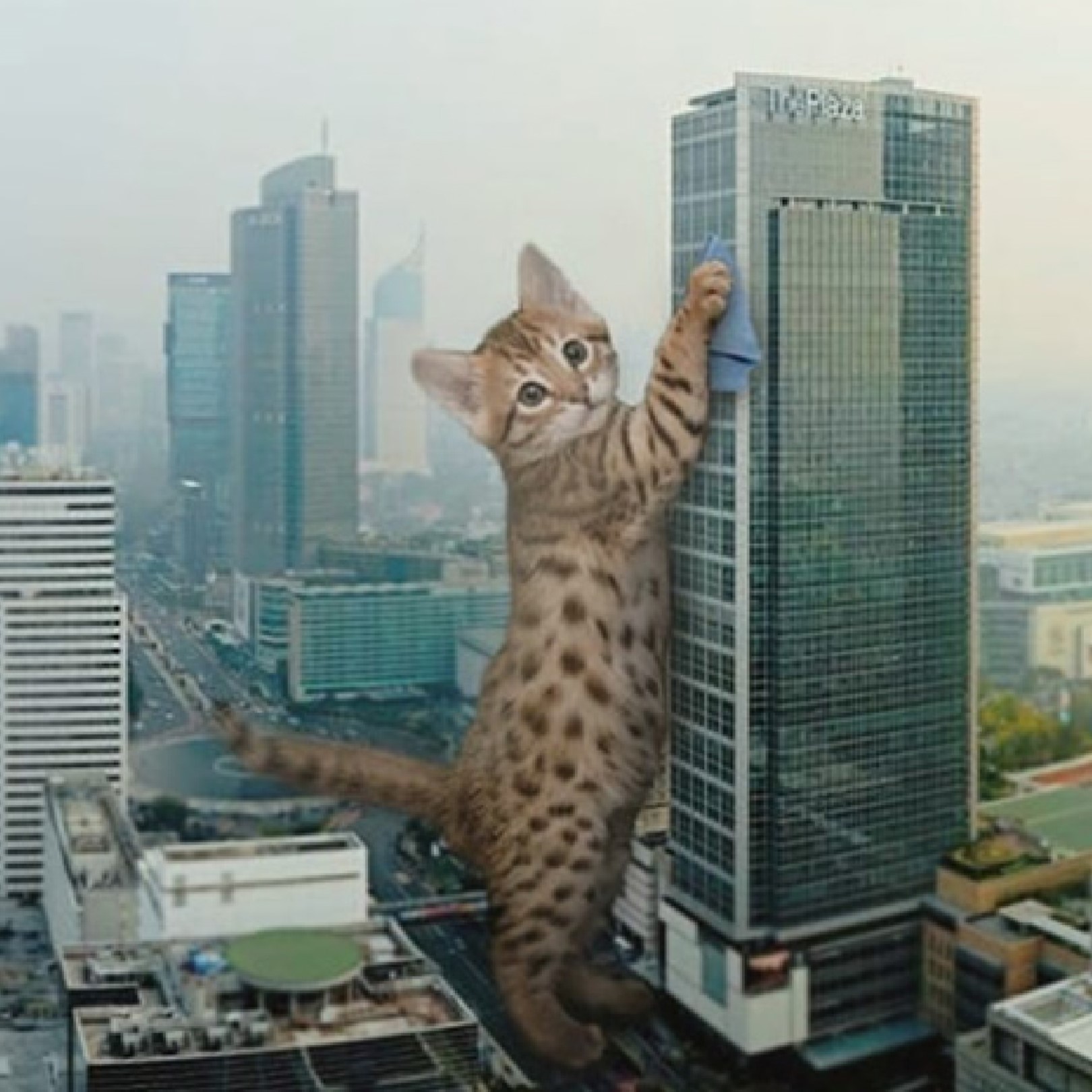 cat scratchpost